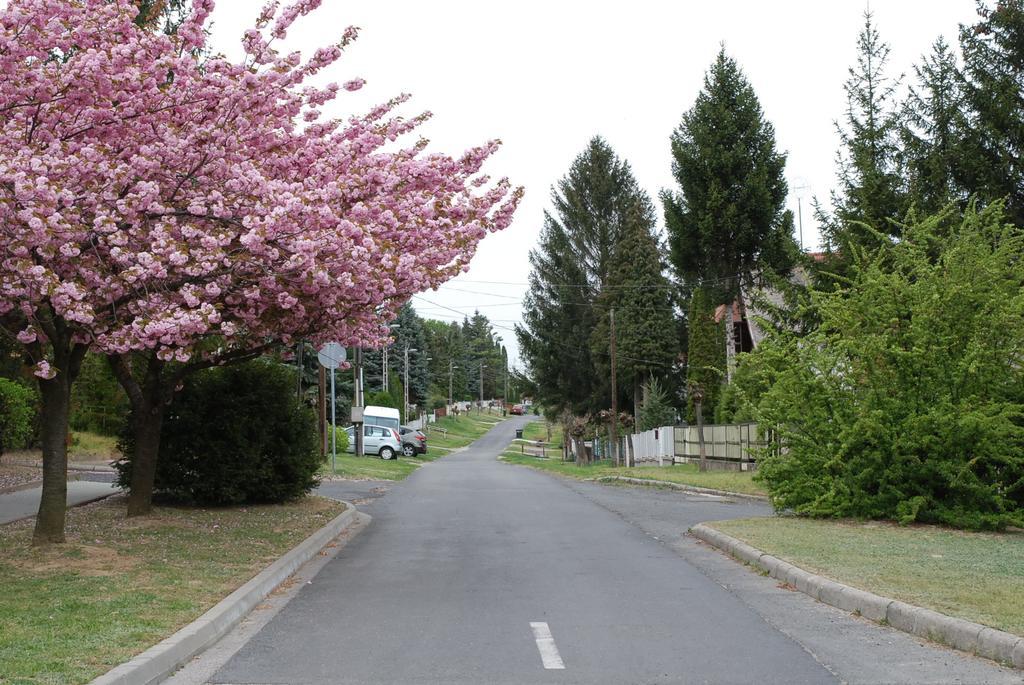 Antal Apartmanok Zalakaros Kültér fotó